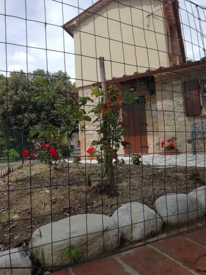 La Casetta Della Letizia Colle  Экстерьер фото